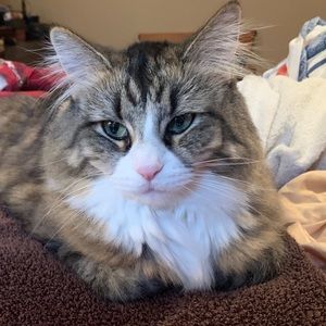 Meet your Posher, Barbara